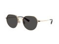 Coach Cae81 7179 900587 52 Men sunglasses