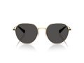 Coach Cae81 7179 900587 52 Men sunglasses