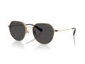 Coach Cae81 7179 900587 52 Men sunglasses