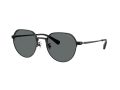 Coach Cae81 7179 934481 52 Men sunglasses