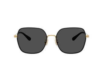 Coach Cae93 7180D 946687 57 Women sunglasses