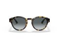 Giorgio Armani 8146 587486 50 Women sunglasses