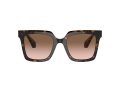 Giorgio Armani 8156 587951 52 Women sunglasses