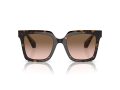 Giorgio Armani 8156 587951 52 Women sunglasses