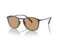 Giorgio Armani 8186U 508973 52 Men sunglasses