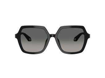 Giorgio Armani 8193U 500119 55 Women sunglasses