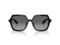 Giorgio Armani 8193U 500119 55 Women sunglasses