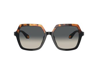 Giorgio Armani 8193U 587519 55 Women sunglasses