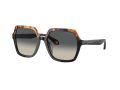 Giorgio Armani 8193U 587519 55 Women sunglasses