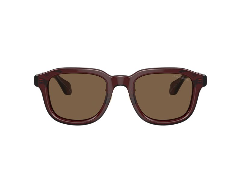 Giorgio Armani 8206 606273 51 Men sunglasses