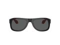 Giorgio Armani 8209 6069B1 54 Men sunglasses