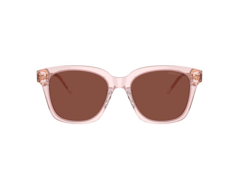 Giorgio Armani 8210U 6073C5 52 Women sunglasses