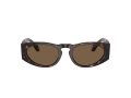 Giorgio Armani 8216 612473 51 Men sunglasses