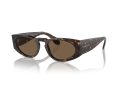 Giorgio Armani 8216 612473 51 Men sunglasses