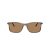 Giorgio Armani 8218 6167M4 56 Men sunglasses