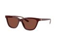 Giorgio Armani 8221 5955C5 55 Women sunglasses