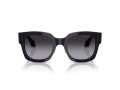 Giorgio Armani 8223 61608G 51 Women sunglasses