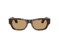 Giorgio Armani 8224 502673 52 Men sunglasses