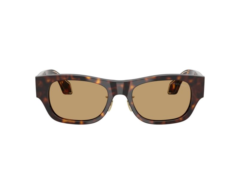 Giorgio Armani 8224 502673 52 Men sunglasses