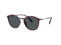 Giorgio Armani 8233U 6237L5 51 Men sunglasses