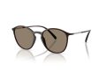 Giorgio Armani 8233U 6239M4 51 Men sunglasses