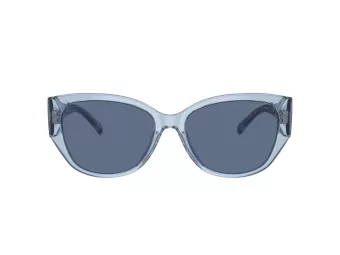 Coach Ch563 8362U 574080 57 Women sunglasses