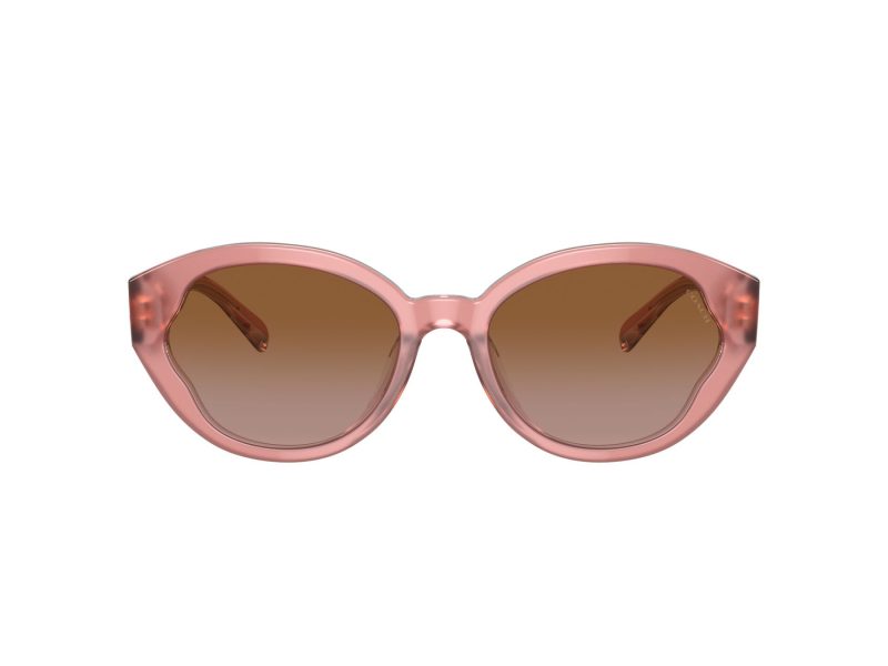 Coach Ch569 8364U 574313 55 Women sunglasses