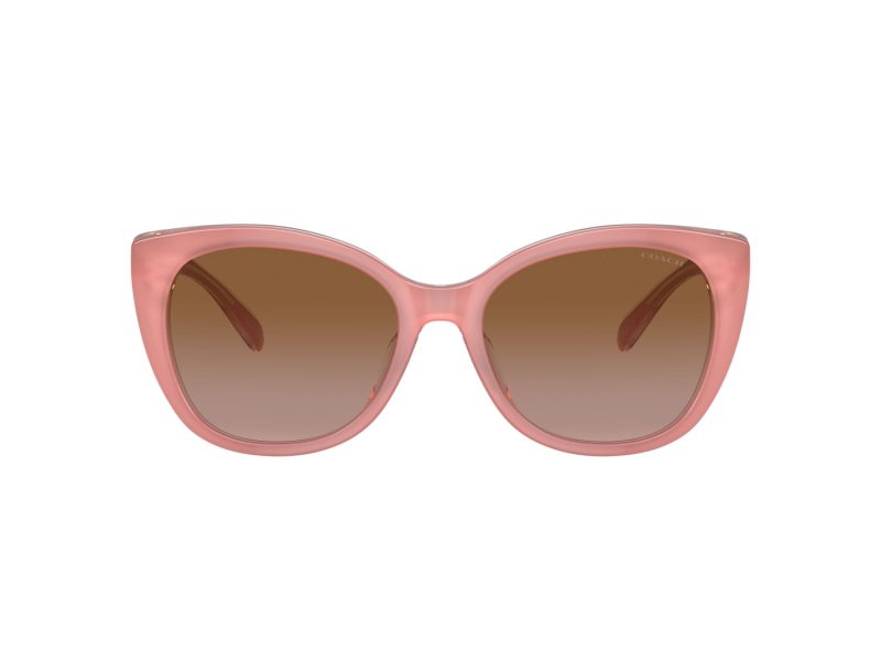 Coach Ch566 8365U 574313 55 Women sunglasses