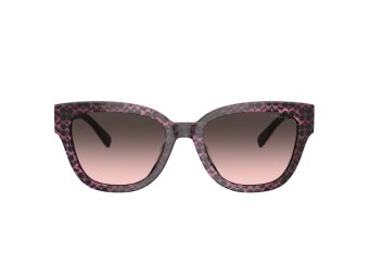 Coach Cl920 8379U 578346 54 Women sunglasses