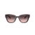 Coach Cl920 8379U 578346 54 Women sunglasses
