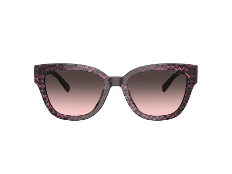Coach Cl920 8379U 578346 54 Women sunglasses