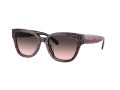 Coach Cl920 8379U 578346 54 Women sunglasses