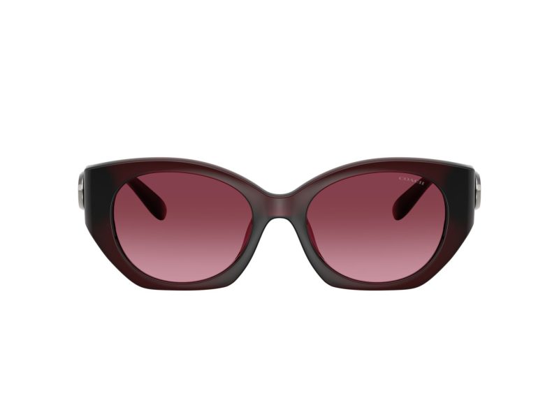 Coach Cw194 8407U 53938H 52 Women sunglasses