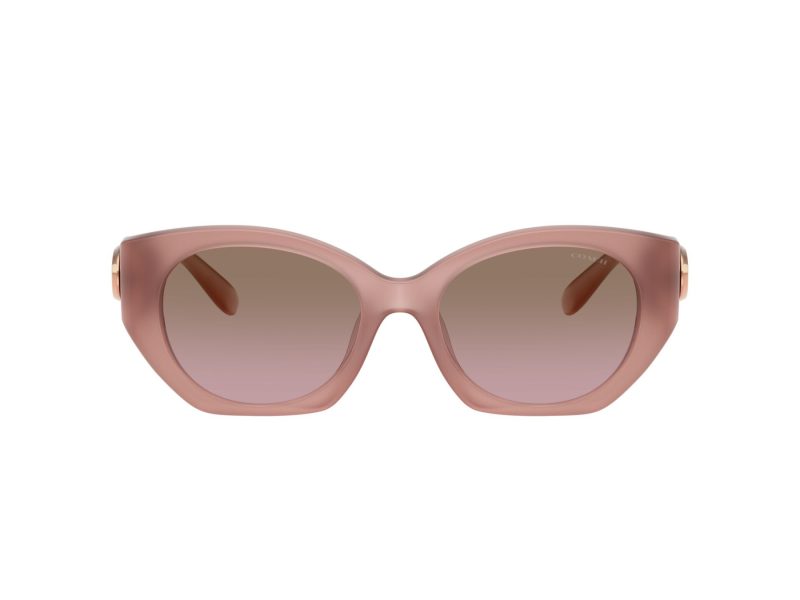 Coach Cw194 8407U 583914 52 Women sunglasses