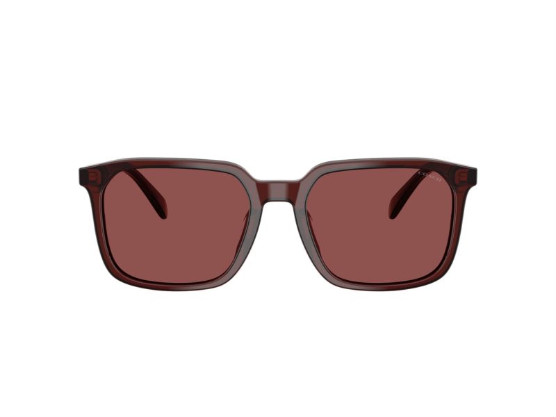 Coach Cw405 8411U 585075 55 Men sunglasses