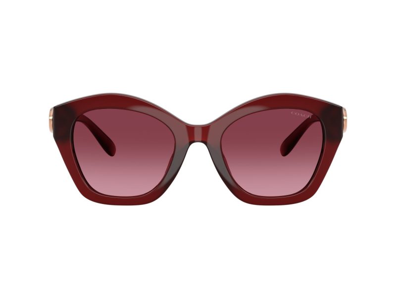 Coach Cad31 8421U 58708H 54 Women sunglasses