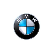 BMW Motorsport sunglasses