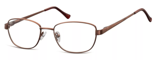 Berkeley Metal Eyeglass lenses detail 53 mm temples size 135 mm