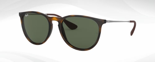 Ray-Ban Erika Sunglasses